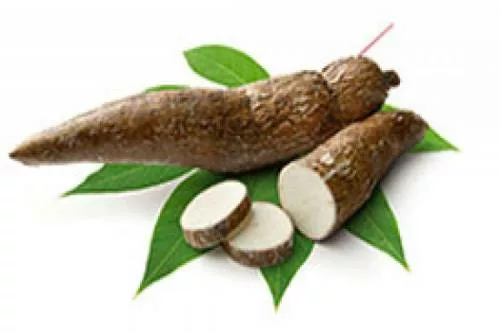 yuca